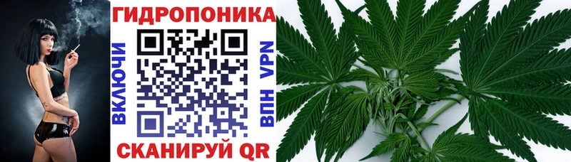 Магазины продажи наркотиков Слободской Каннабис  АМФЕТАМИН  ТГК  ГАШ  блэк спрут зеркало  А ПВП  Меф 