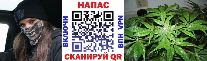 Шишки марихуана индика  где можно купить   Слободской 